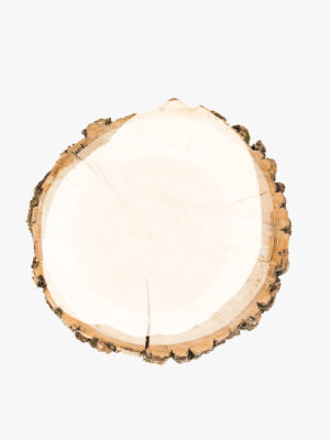 Tree Bark Coasters, Set of 4