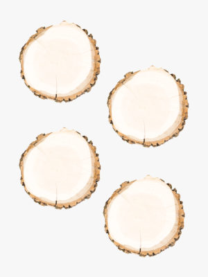 Tree Bark Coasters, Set of 4